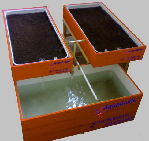 Aquaponic System Permabadia